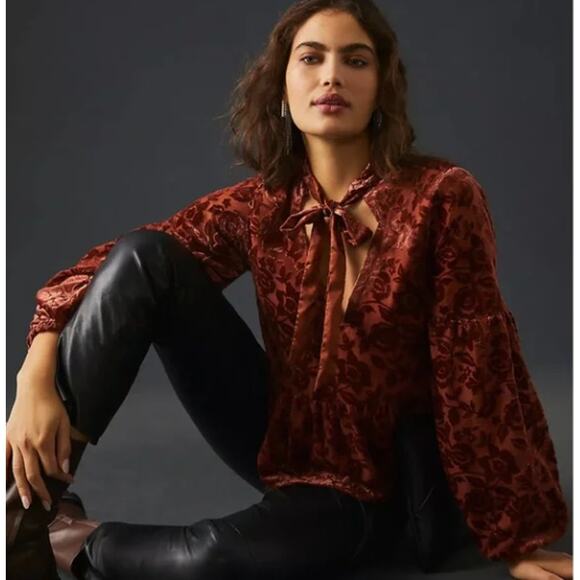 Anthropologie Velvet Burnout Blouse Tie Neck Floral Peplum Sienna Brown NWT XS - Picture 2 of 8